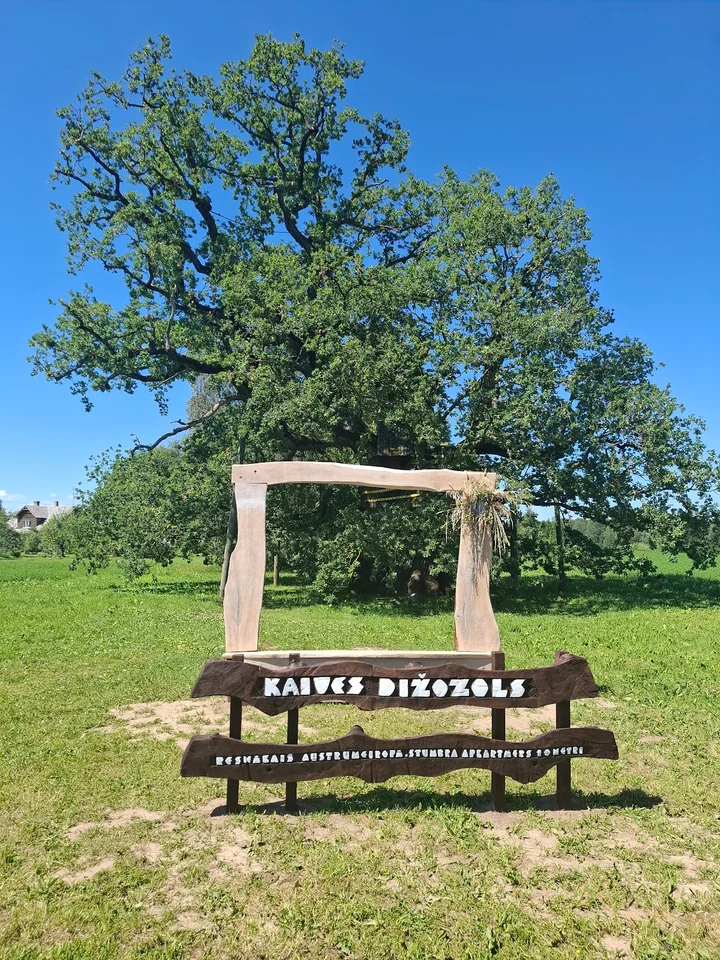 Kaive Oak in Brizule - Ask AI | mindtrip