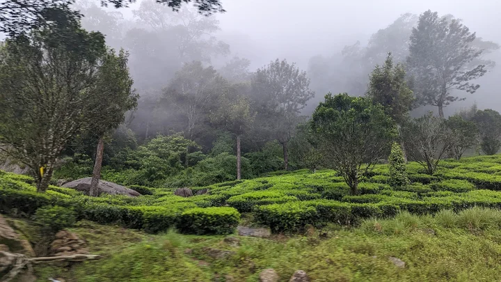 Poopara view point in Pooppara, Kerala - Ask AI | mindtrip
