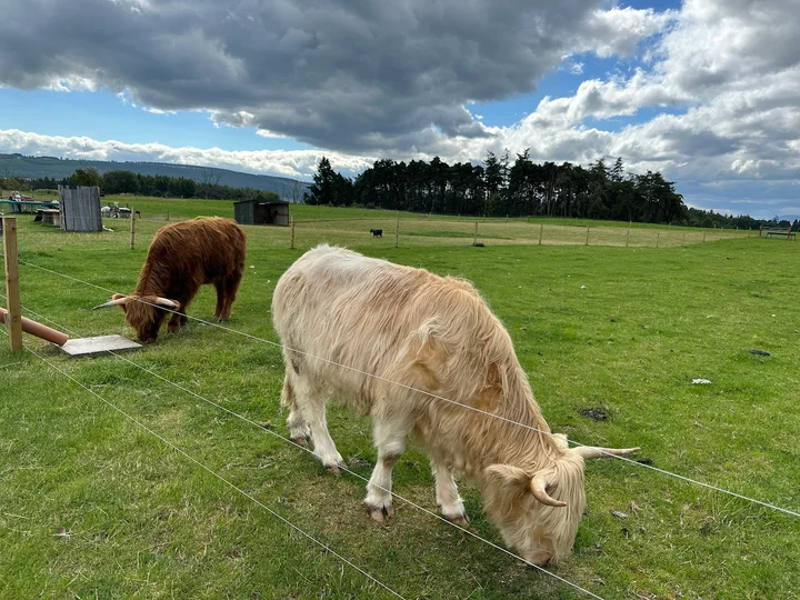 Farm Ness in Dochgarroch, Scotland | Ask Anything