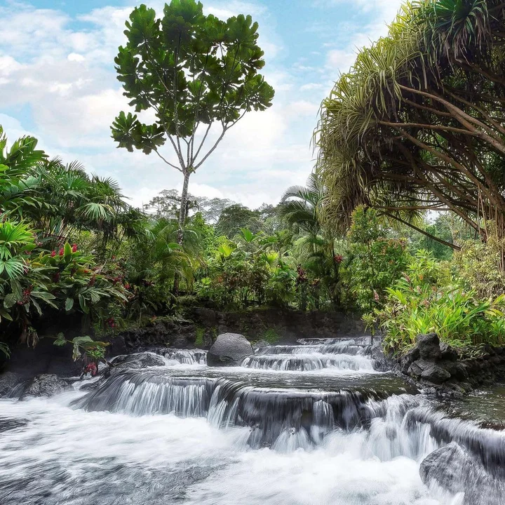 Tabacon in Palma, Provincia de Alajuela - Ask AI | mindtrip