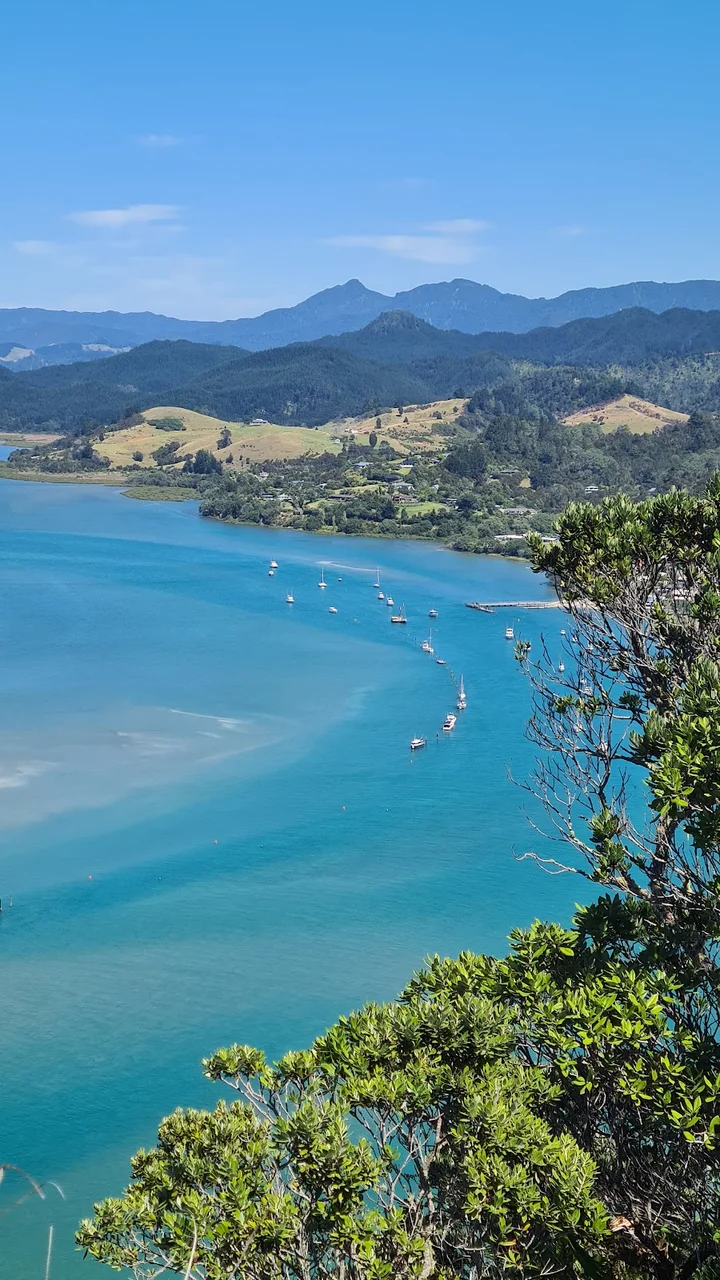 Tairua Beach in Tairua, Waikato Region - Ask AI | mindtrip