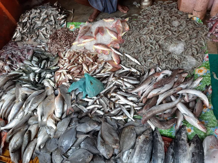 Madipakkam Fish Market - Ask AI | mindtrip