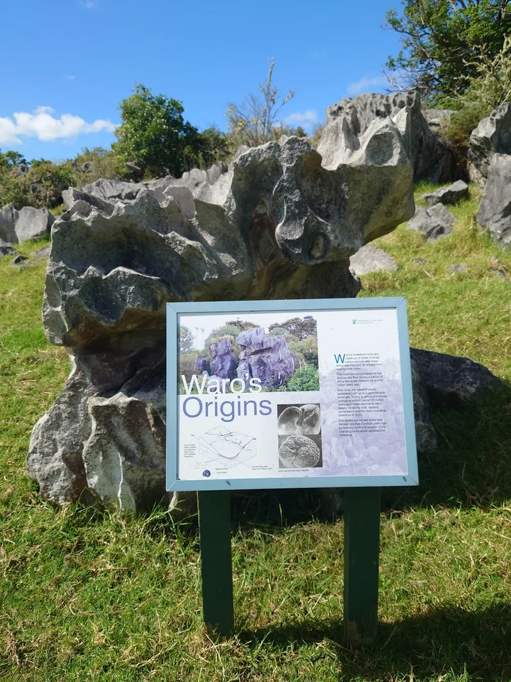 Waro Limestone Scenic Reserve | What to Know Before You Go