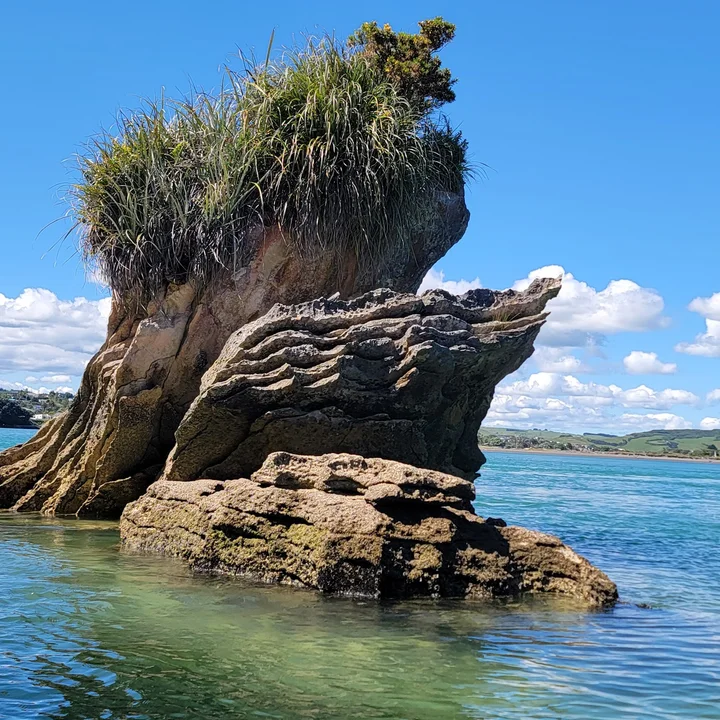 Raglan Kayak in Raglan, Waikato - Ask AI | mindtrip