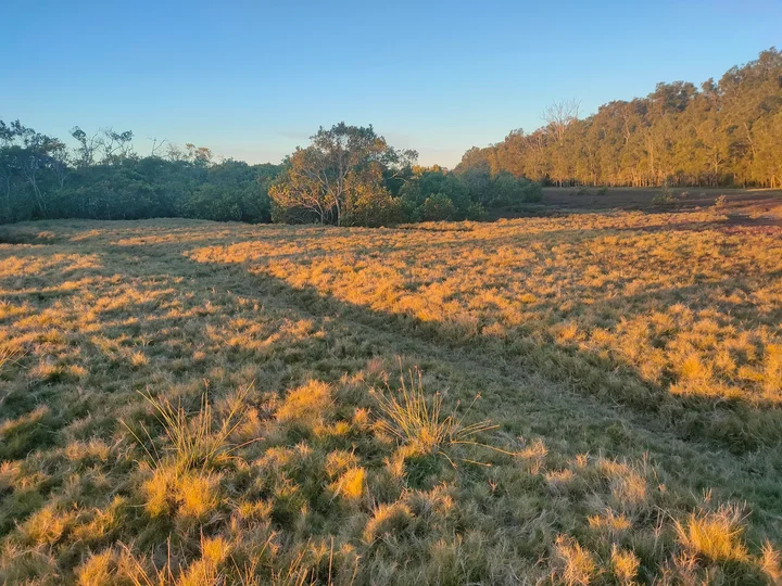 Tinchi Tamba Wetlands | What to Know Before You Go