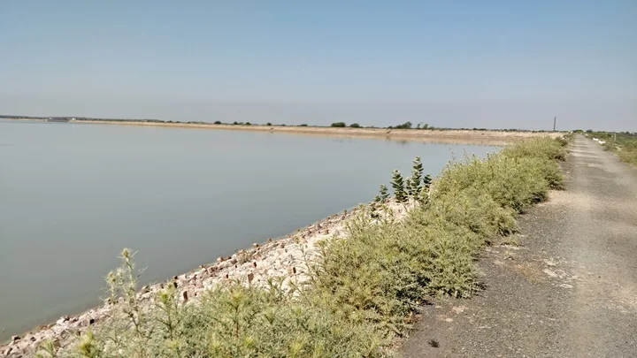 Falku Dam in Gujarat | What to Know Before You Go