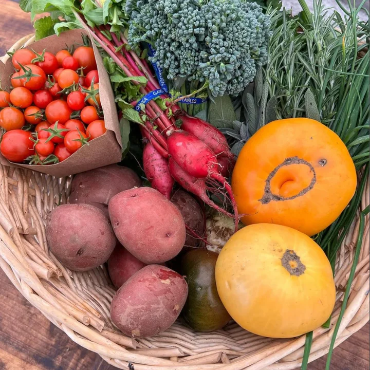 Deep Roots Farm CA in Penngrove, California | Ask Anything