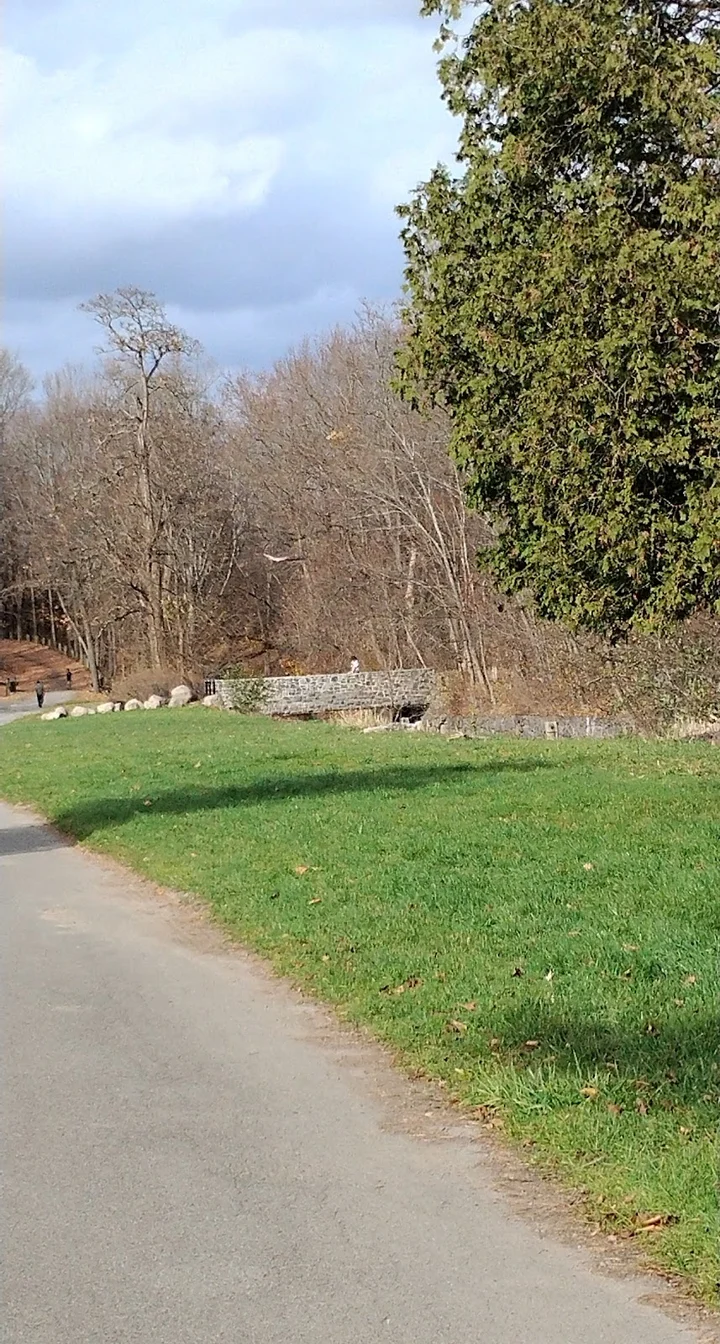 Proctor Park in Utica, New York - Ask AI | mindtrip