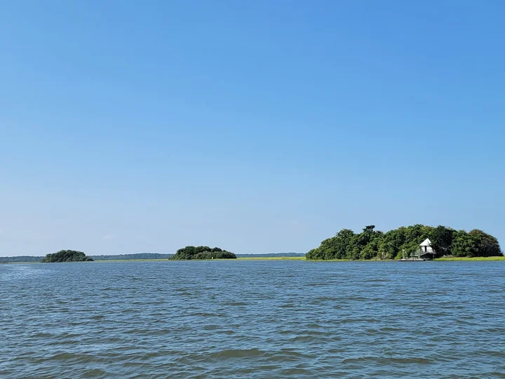 Shellman's Fish Camp | What to Know Before You Go
