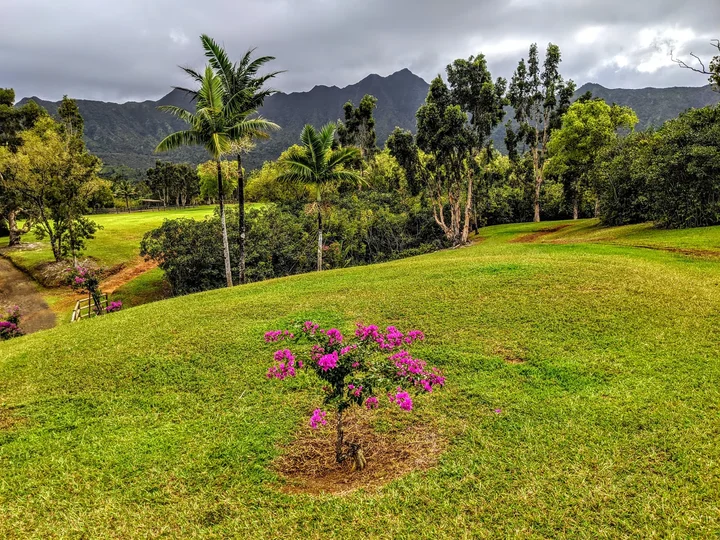 Silver Falls Ranch in Kilauea, Hawaii - Ask AI | mindtrip