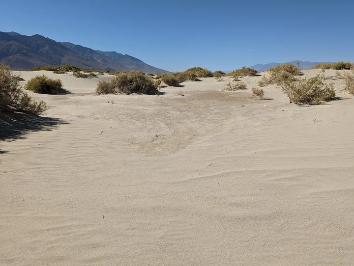 Olancha Dunes in Olancha | What to Know Before You Go