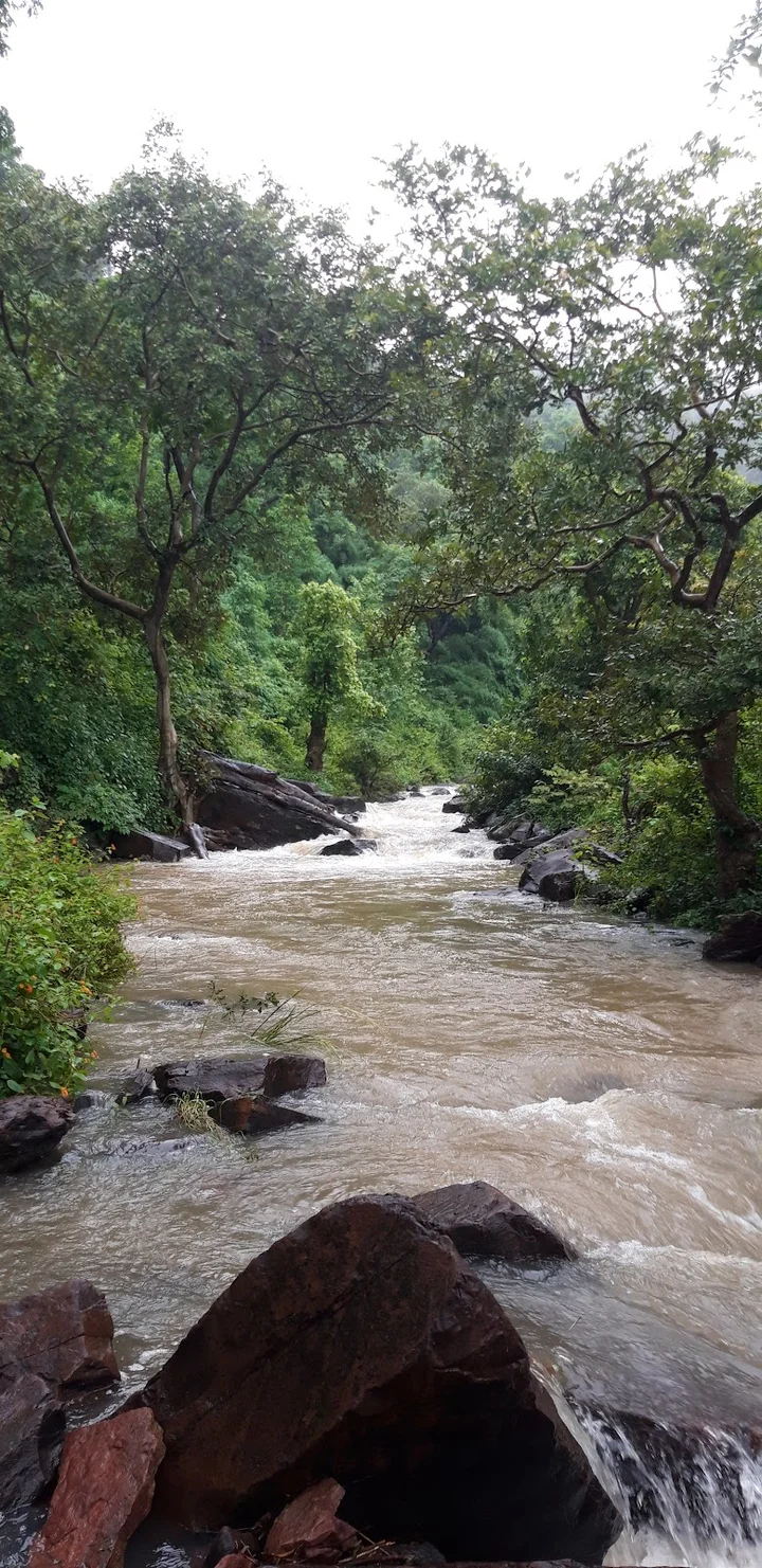 Basudha Waterfall in Katni - Ask AI | mindtrip