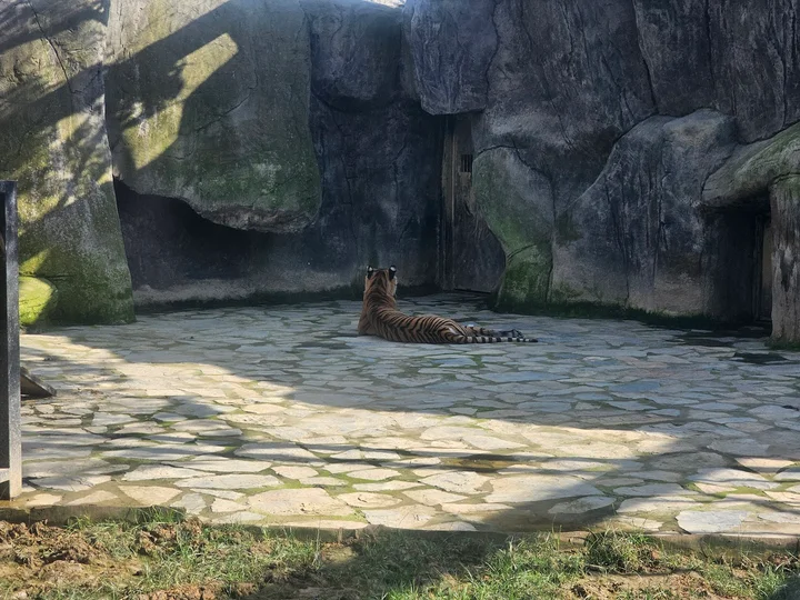 Aslan Park in Istanbul, İstanbul | Ask Anything