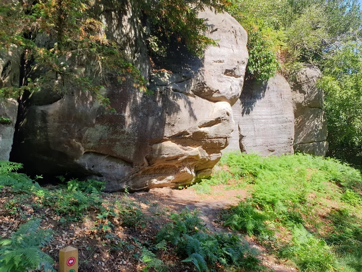 Eridge Rocks Nature Reserve - Sussex Wildlife Trust