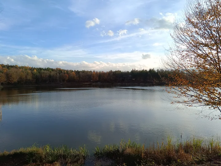 Korugöl Nature Park in Kaynasli | What to Know Before You Go