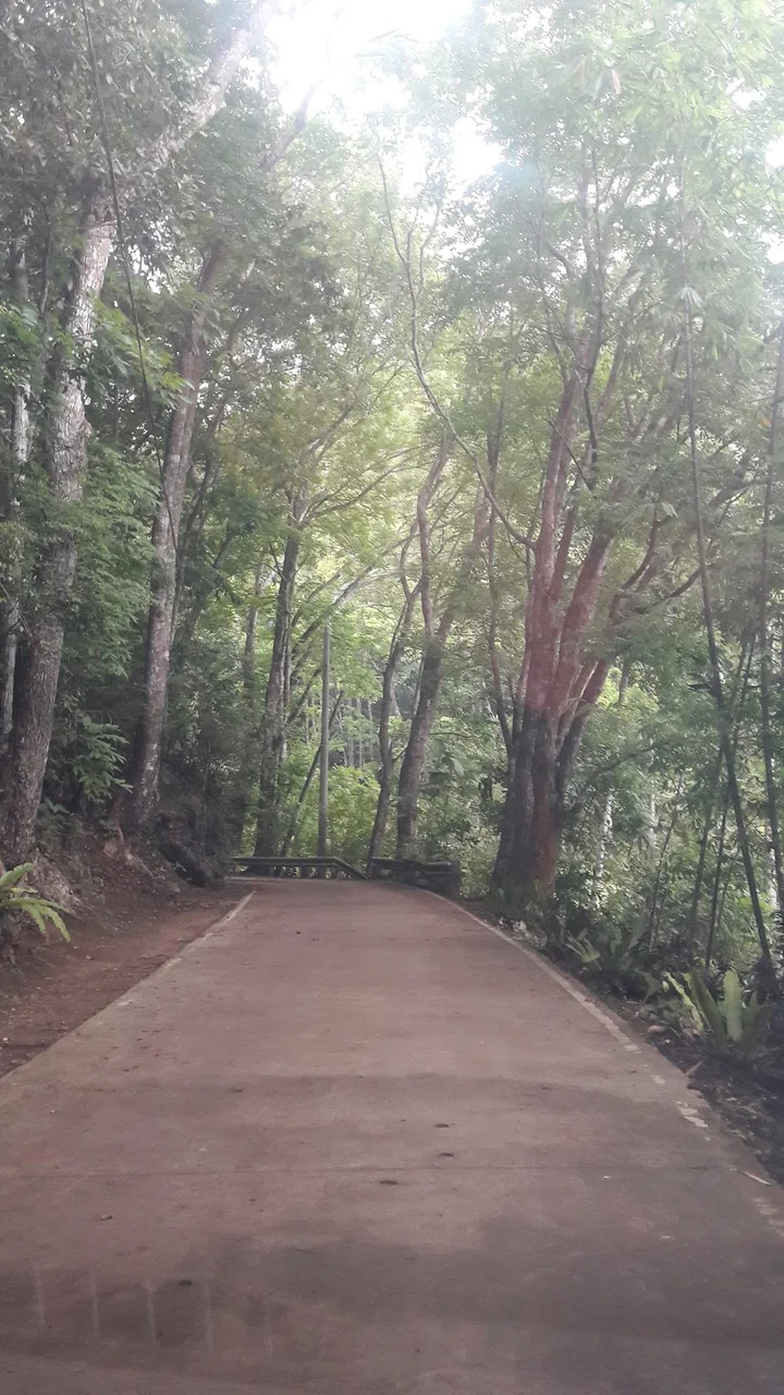 Logarita Spring in Bilar - Ask AI | mindtrip