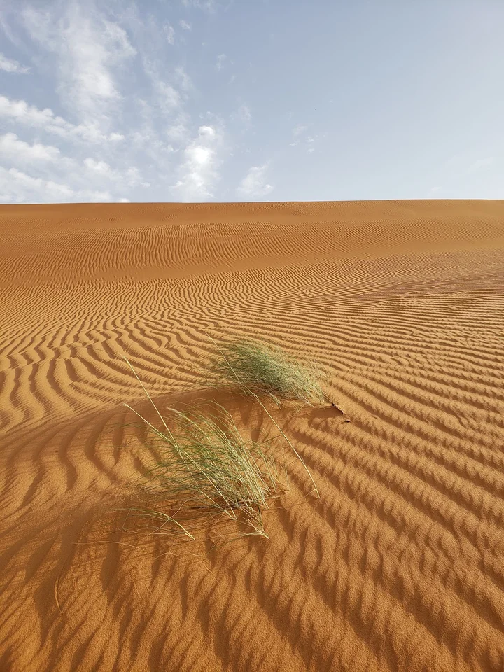 نقا المطوع in Riyadh Province - Ask AI | mindtrip