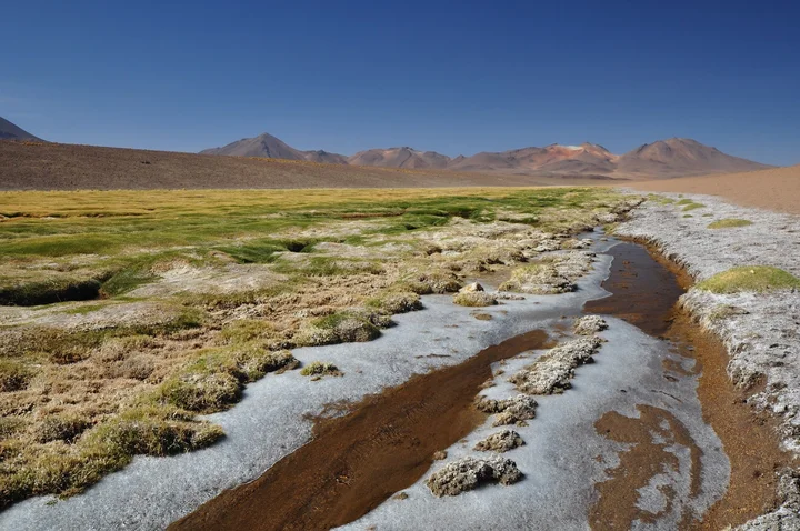 Salvador Dalí Desert | What to Know Before You Go