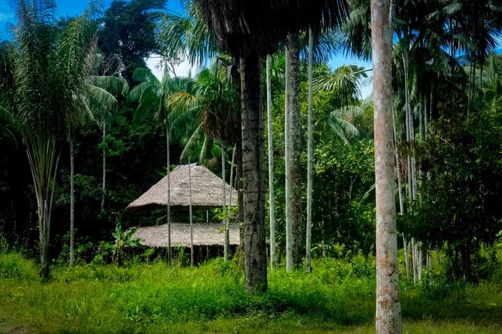 Reserva Natural Azai in Leticia - Ask AI | mindtrip