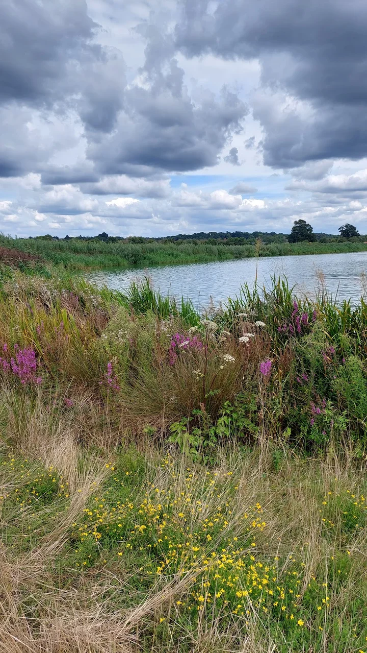 Longham Lakes in Ferndown, England | Ask Anything