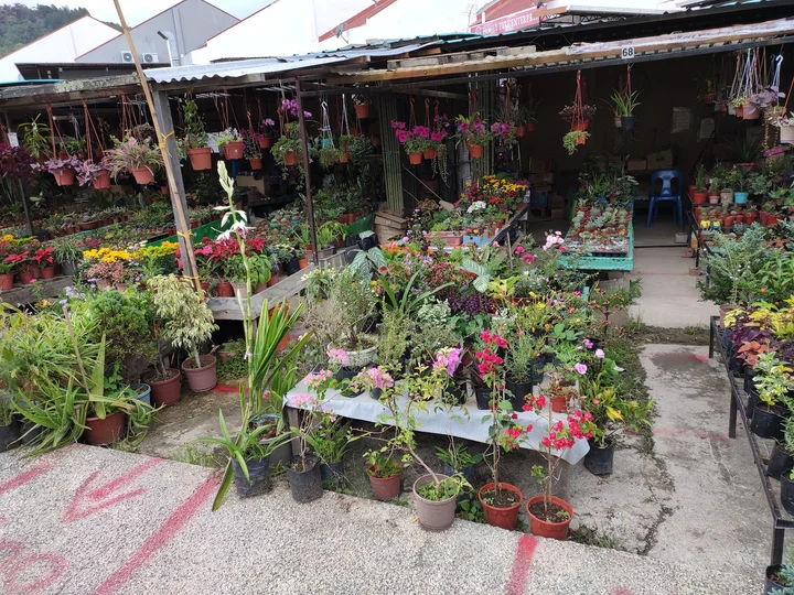 Dataran Sayur Kundasang in Ranau, Sabah | Ask Anything