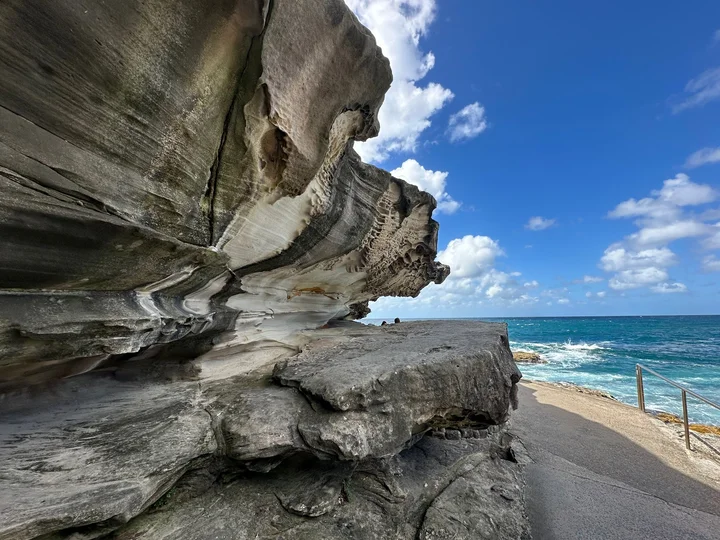 Marks Park in Bondi | What to Know Before You Go