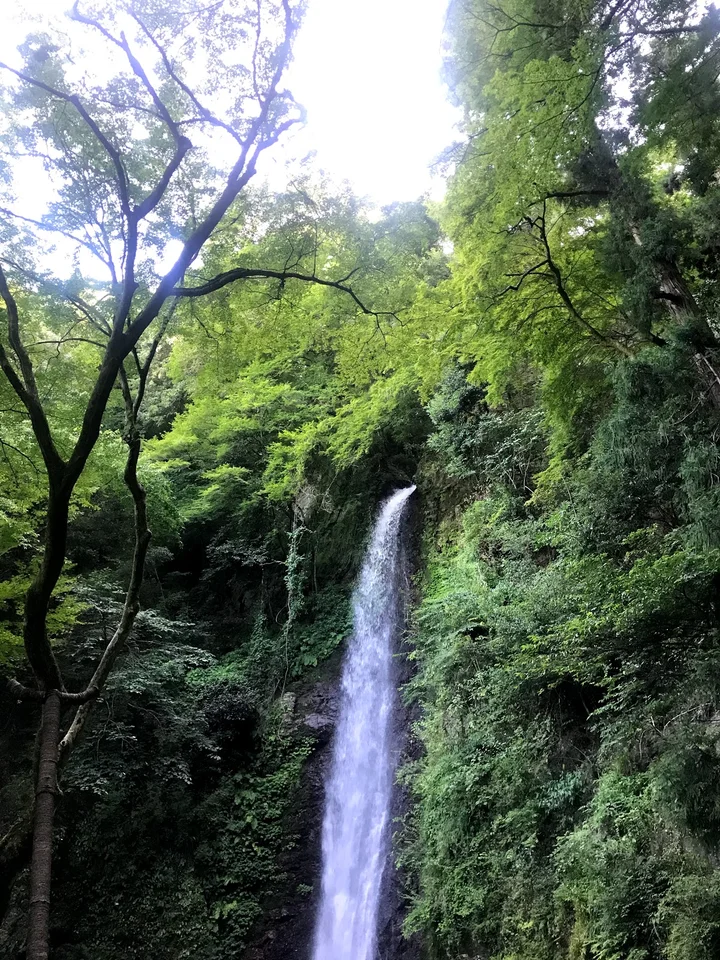 Yoro Falls in Yoro-cho | What to Know Before You Go