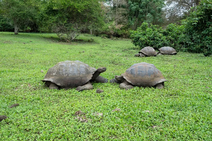 Rancho El Manzanillo | What to Know Before You Go
