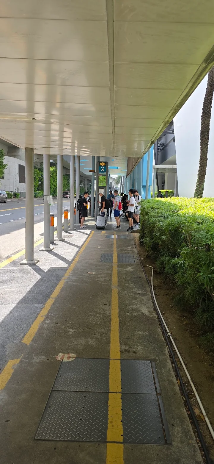 RWS8 BusStop in Singapore | What to Know Before You Go