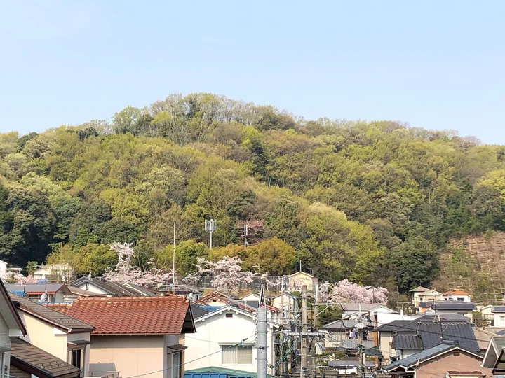 Oiso Park in Saka-cho - Ask AI | mindtrip