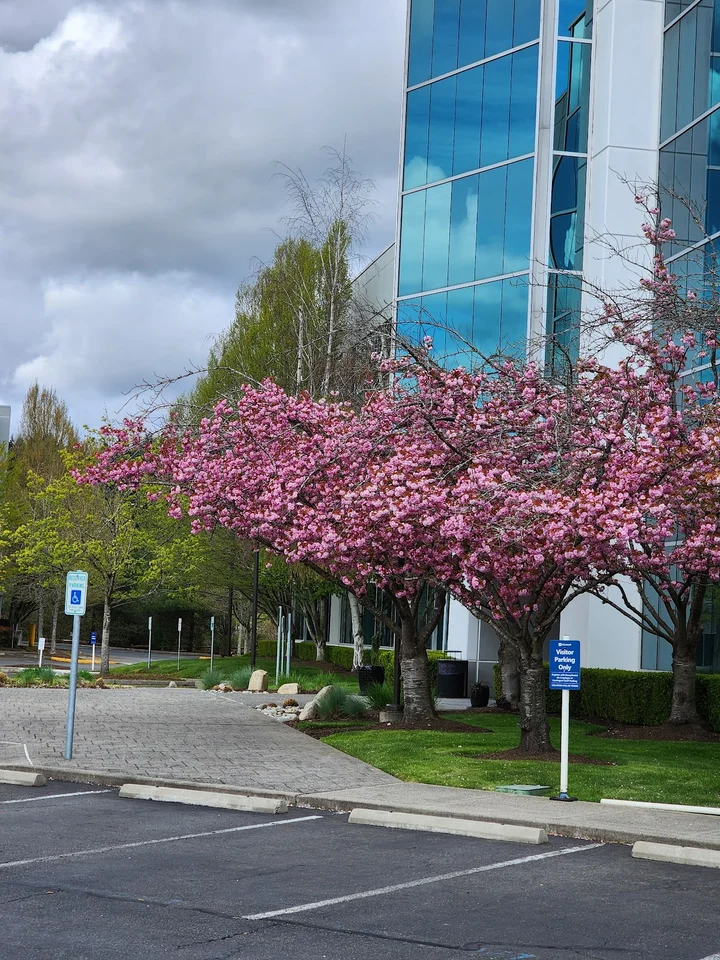 Microsoft Millennium Campus e in Redmond | Ask Anything