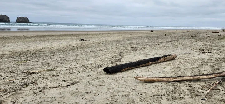 Twin Rocks Arch in Rockaway Beach, Oregon | Ask Anything