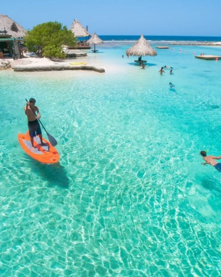 Charlie's Roatan Tours in Dixon Cove - Ask AI | mindtrip