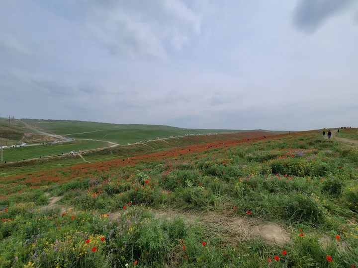 Lolazor in Andijan, Andijan region | Ask Anything