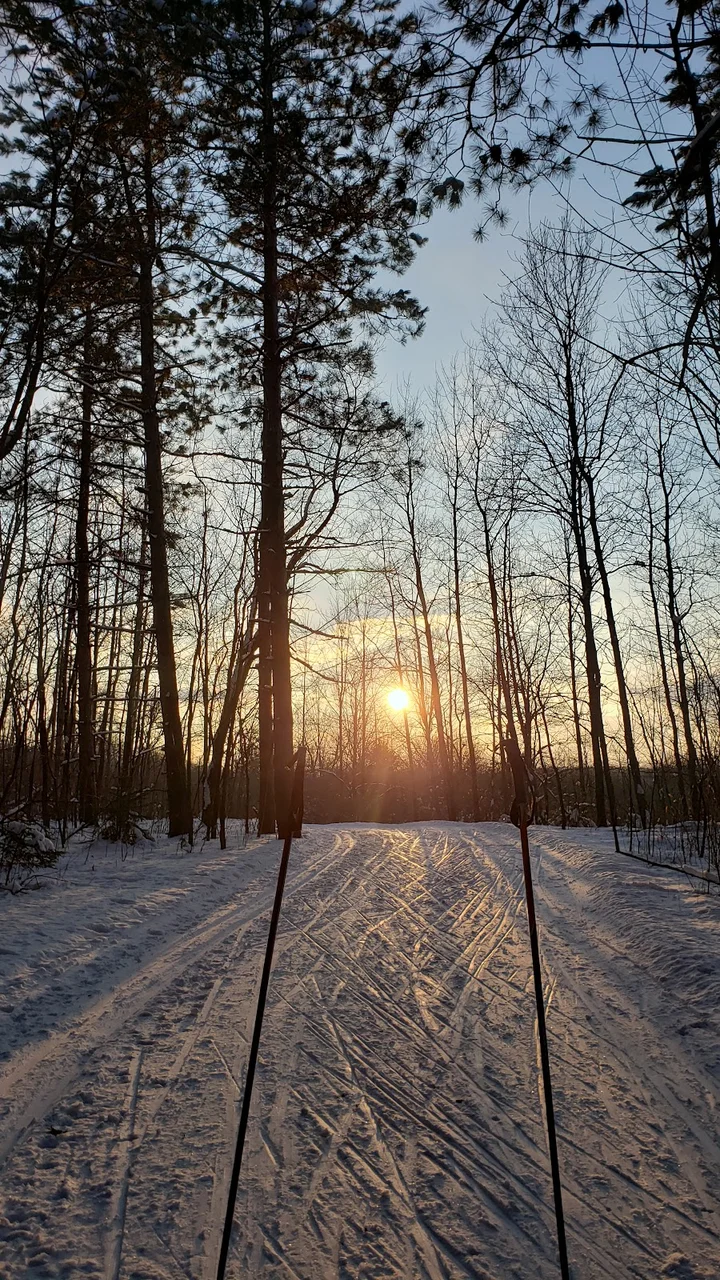 Greenbush Recreation Area in Greenbush | Ask Anything