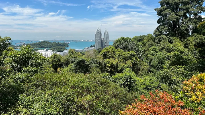Mount Faber Park in Singapore | What to Know Before You Go