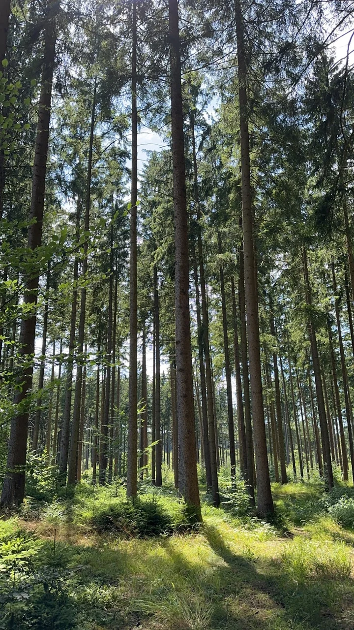 Kschinger Forst Raststtte