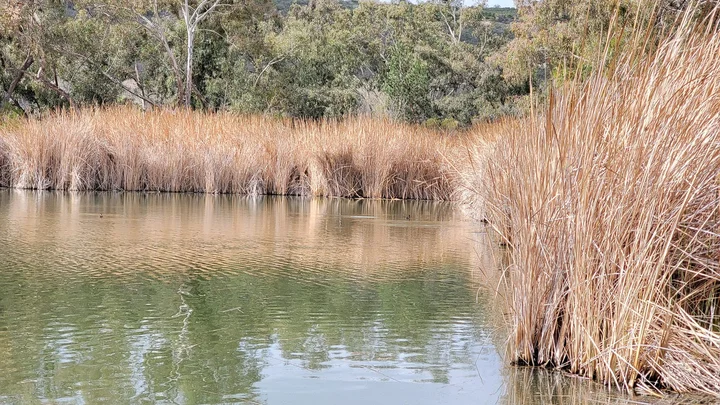 Poway Pond in Poway, California - Ask AI | mindtrip