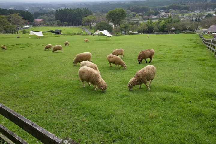 Makaino Farm Resort in Fujinomiya, Shizuoka | Ask Anything