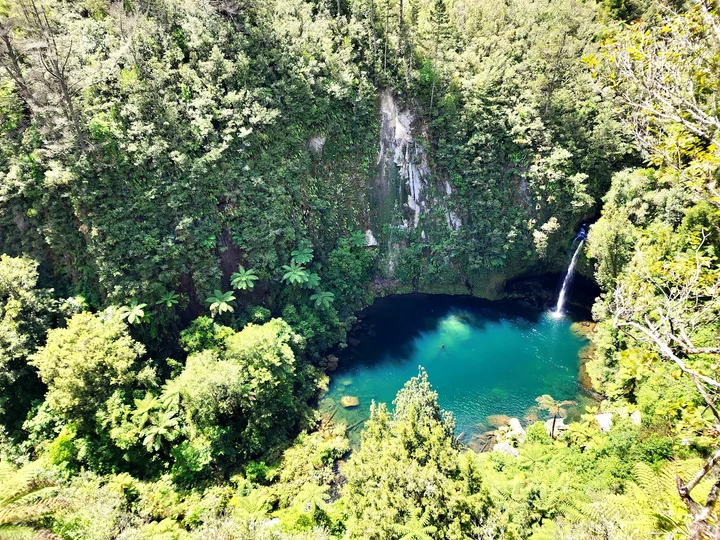 Kaimai Range in Whakamarama - Ask AI | mindtrip