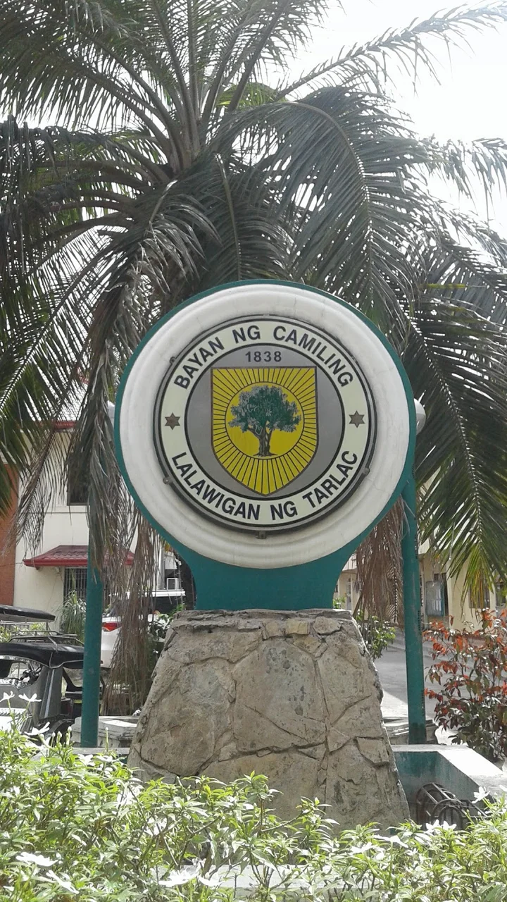 Camiling Municipal Hall in Camiling - Ask AI | mindtrip