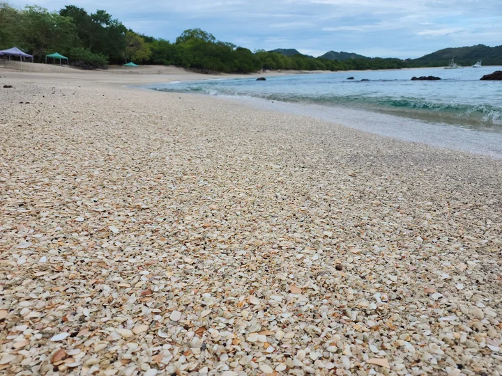 Playa Conchal in Playa Conchal | Ask Anything