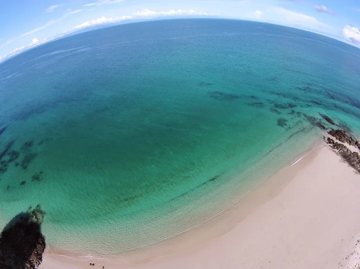 Pacheca Island | What to Know Before You Go