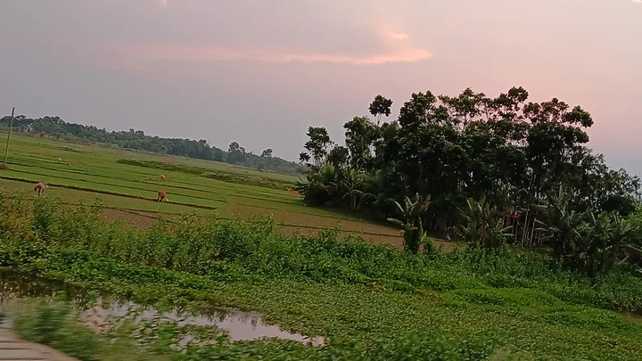 Basirhat in Taki, West Bengal | What to Know Before You Go