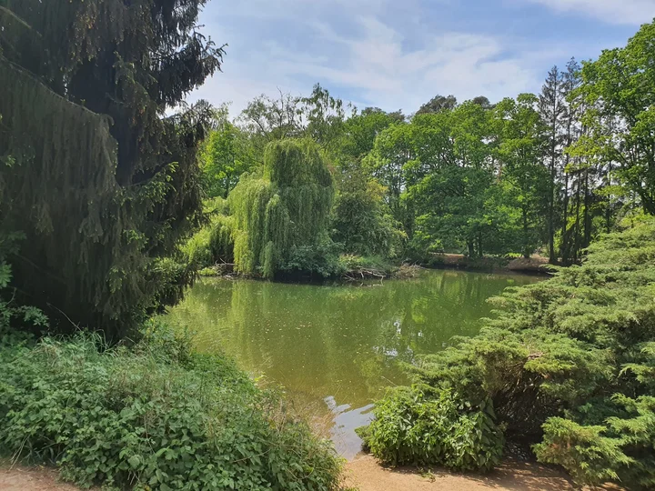 Seeheim-Jugenheim in Seeheim-Jugenheim - Ask AI | mindtrip