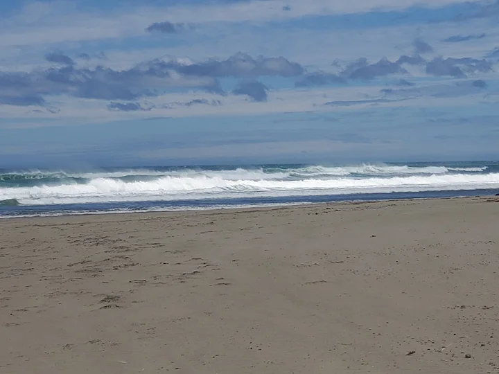Baylys beach in Dargaville, Northland - Ask AI | mindtrip