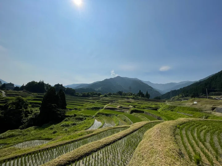 Natsumi Rice Terraces | What to Know Before You Go