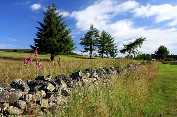 Dufftown Golf Club in Dufftown, Scotland - Ask AI | mindtrip