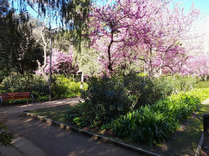 Parc del Turó in Barcelona, Catalonia | Ask Anything
