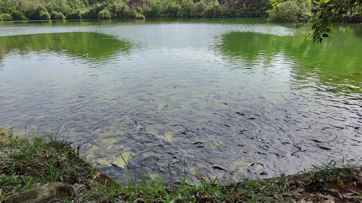 Ranong Canyon in Ranong | What to Know Before You Go